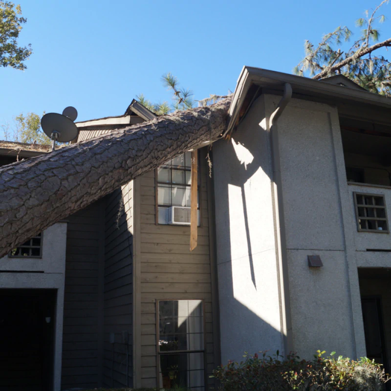 Emergency Storm Response Line Clearing (1)