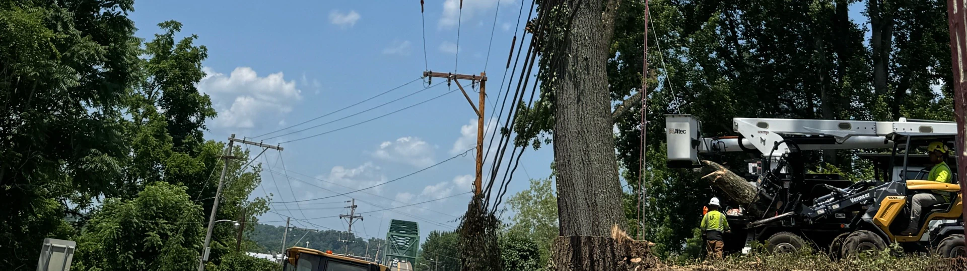 Power Line Clearance Services breadcrumb