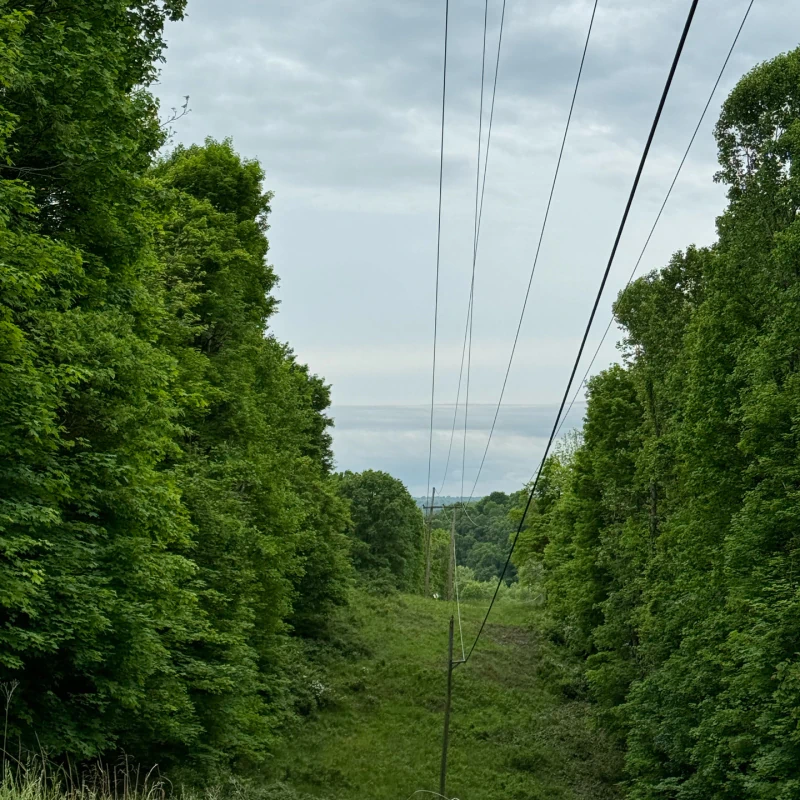 Power Line Clearance Services