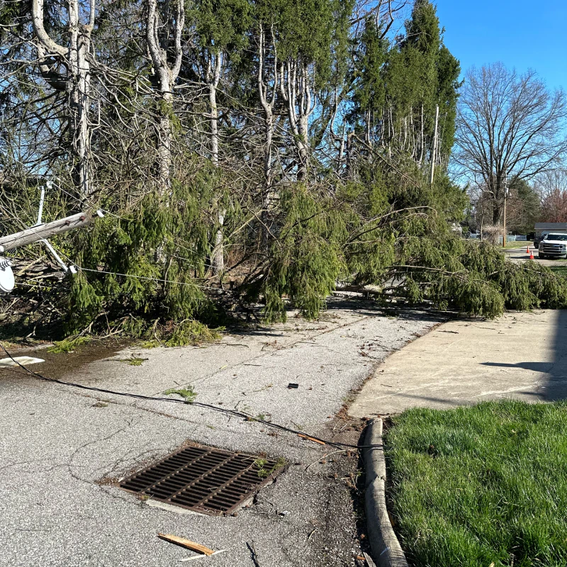 Right of Way Clearing
