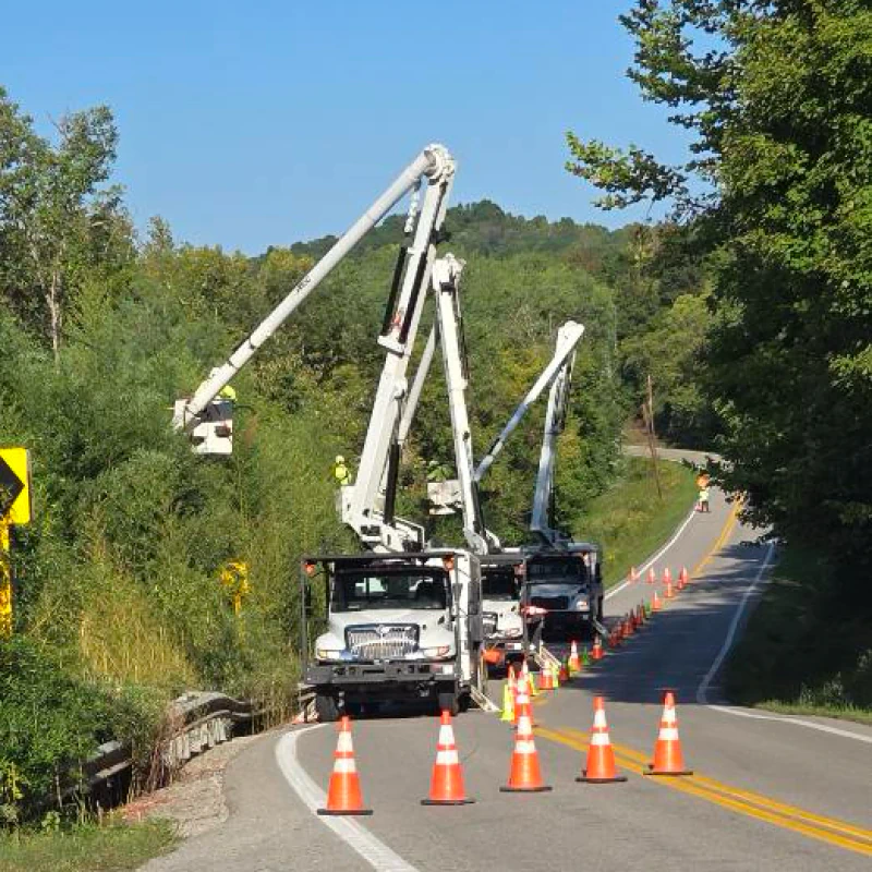 Utility Tree Trimming & Removal