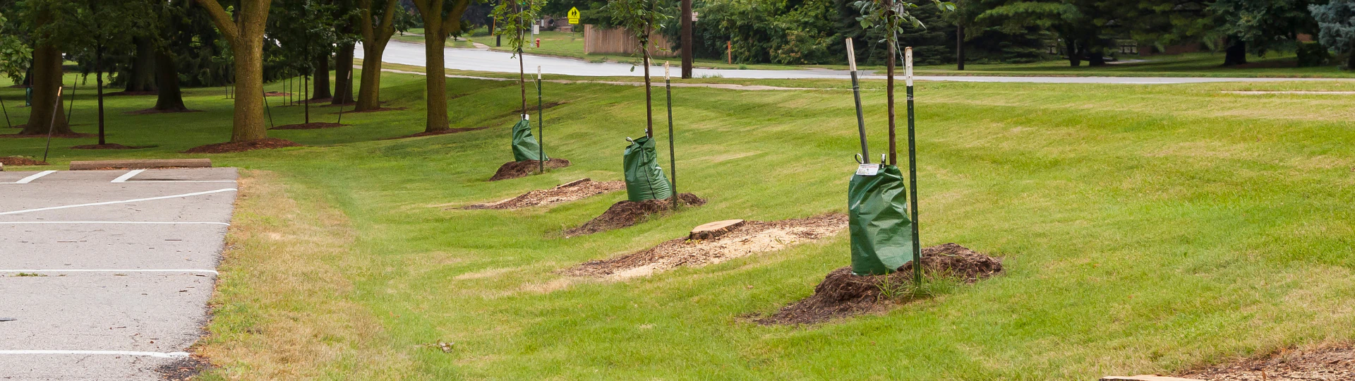 Vegetation Management breadcrumb
